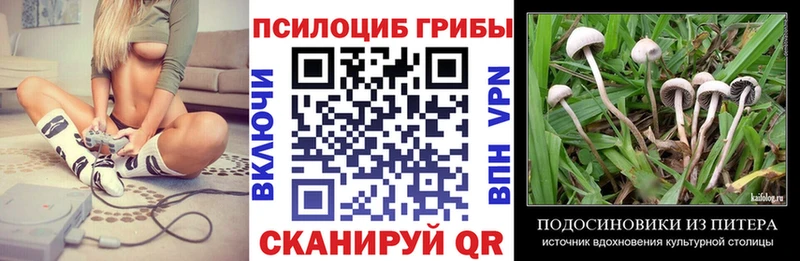 Галлюциногенные грибы MAGIC MUSHROOMS  что такое наркотик  Белоусово 